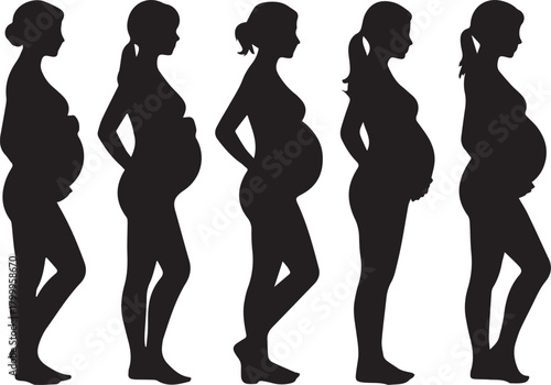 Five Black Silhouettes of Pregnant Women in Profile on White Background pregnancy