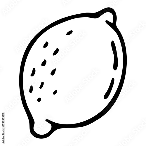 Vector illustration doodle hand drawn lemon food fruit citrus whole element black fineliner pen.jpg