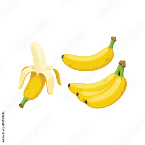 Delicious banana vector illustration tropical fruit with peeled banana artwork