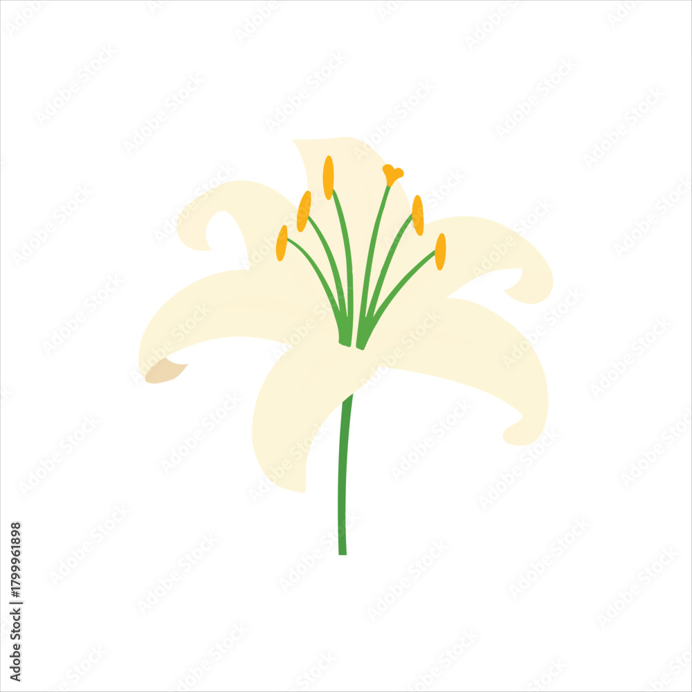 Naklejka premium Elegant White Lily Flower Illustration with Green Stem and Yellow Pollen