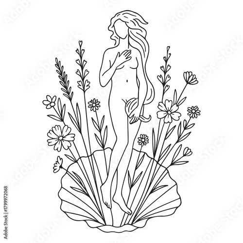 Line art of Venus rising from a seashell, surrounded by wildflowers in a minimalist style. Black and white vector illustration 