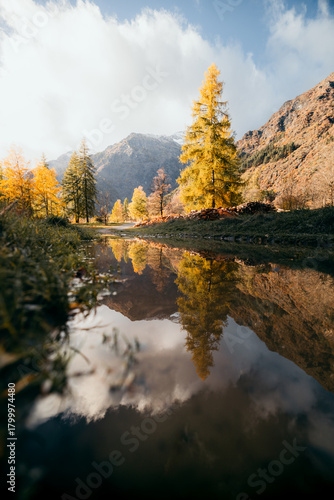 autumn in the forest