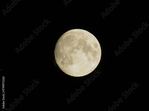 Full Moon in near plan