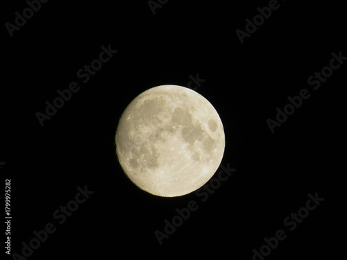 Full Moon in near plan