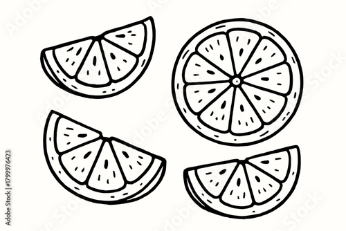 handdrawn cute doodle style fresh orange slices vector line illustration