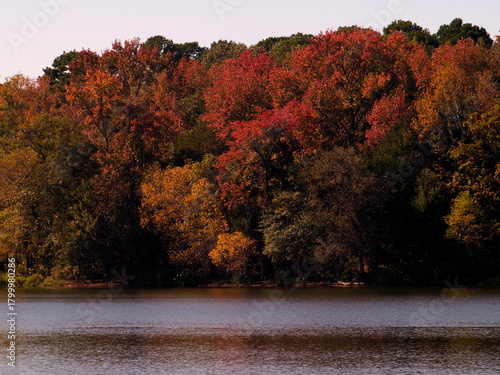 Autumn Trees Along A Lake_1010300