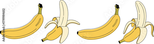 Fresh banana fruit vector set with whole bananas and peeled bananas illustration for food packaging, market labels and healthy diet designs
