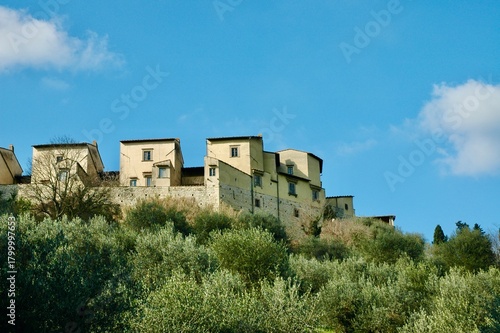 Certosa di Firenze costruita intorno al 1300