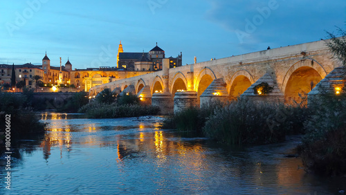 Quadro em tela Vista nocturna del puente romano de Cordoba, España