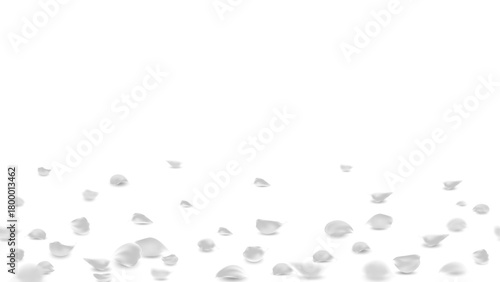 Rose petals fall to the floor. Falling silver rose petals seasonal confetti design for greeting card