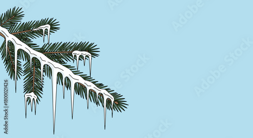 Frozen pine branch with icicles against a blue background copy space