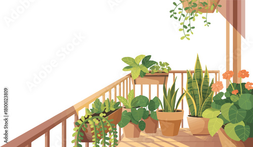 Exterior veranda with plants in pots terrace with flowers porch greenery potted plants outside home decor design flower pots front yard vector illustration