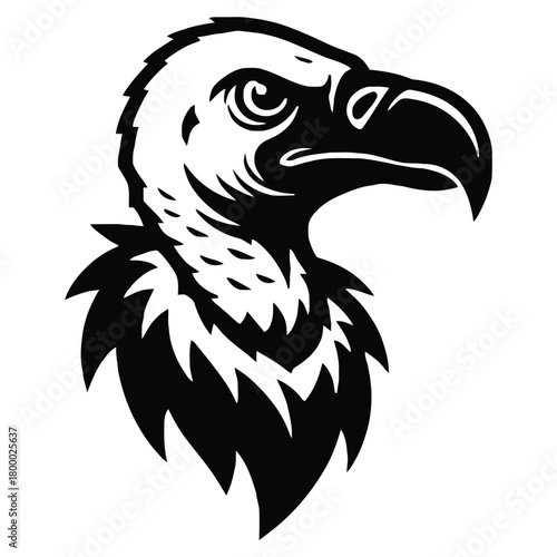 That image is a bold, black-and-white illustration of the head of a vulture or condor, often used as a fierce mascot or logo.