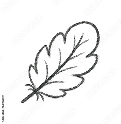 handdrawn cute doodle style ultra soft texture symbol with feather touch vector line illustration