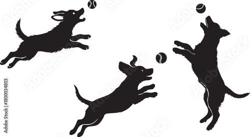 Energetic dog silhouettes jumping and playing happily with tennis balls isolated on white background, Vector