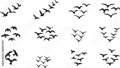 Collection of black bird flock silhouettes flying in various formations on a white background