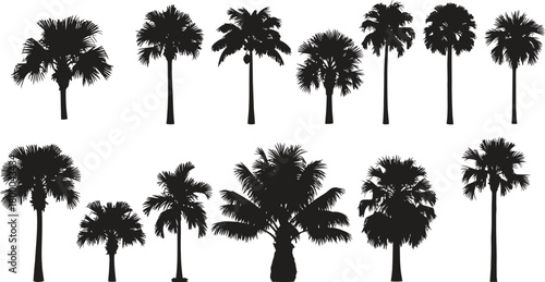 Collection of black silhouette palm trees of various sizes and species tropical nature