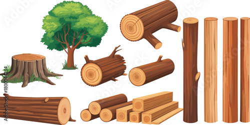 wood logs illustration, cut tree trunk, timber collection, forest tree stump, natural lumber, tree wood texture,