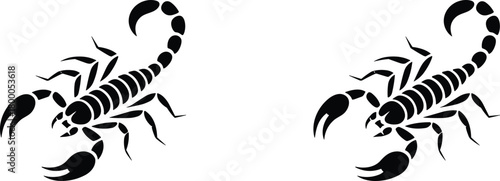 Scorpion silhouette pair, black insect icons, symmetrical arachnid design, visual comparison puzzle, bold graphic style, flat vector illustration