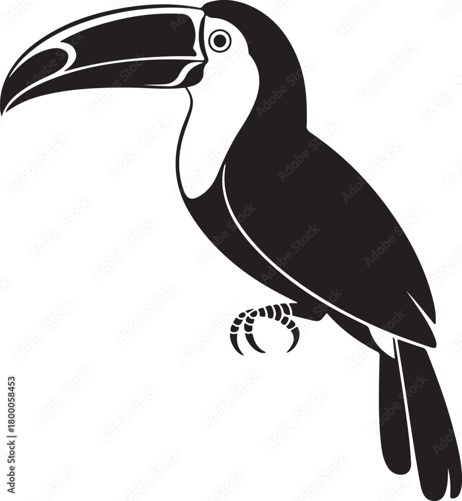Obraz premium Toucan bird. Black silhouette of an exotic toucan bird isolated on a white background. Vector illustration