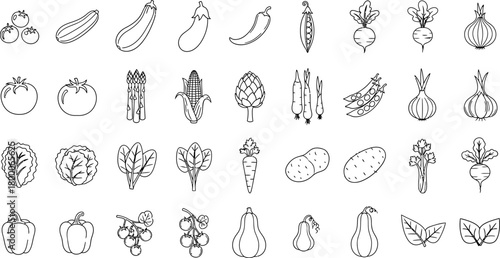 Collection of hand drawn black and white line art illustrations of various vegetables and fruits
