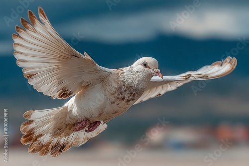 White peace bird flying in blue sky backgroundmage