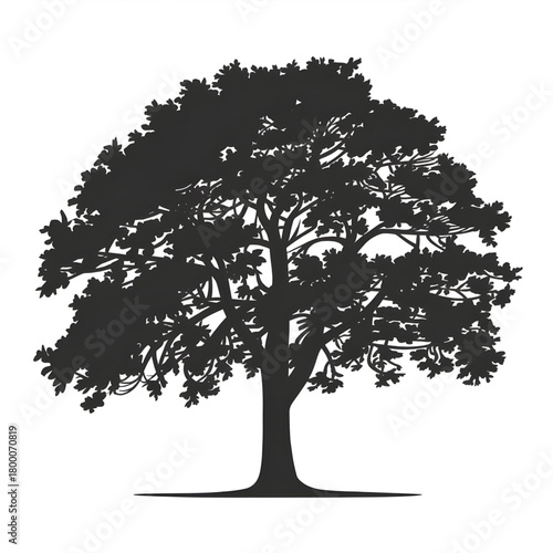 vector tree silhouette