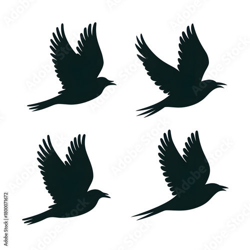 set of silhouettes of birds