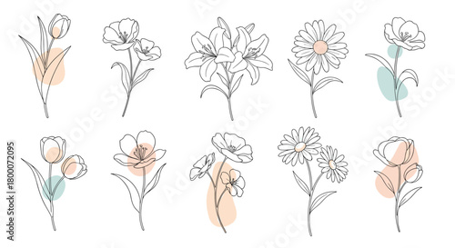 Delicate floral line art with abstract watercolor blush and mint splashes.