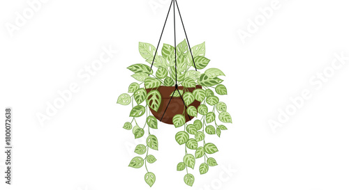 An illustration of a lush green plant cascading from a hanging pot.