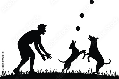 Elegant female dancer silhouettes posing in expressive artistic movement, modern choreography shapes in black isolated figure style