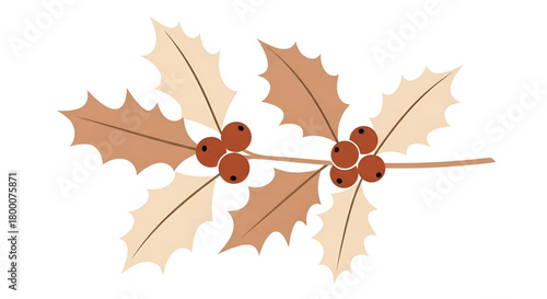 Holly berries illustration christmas vector graphic design element