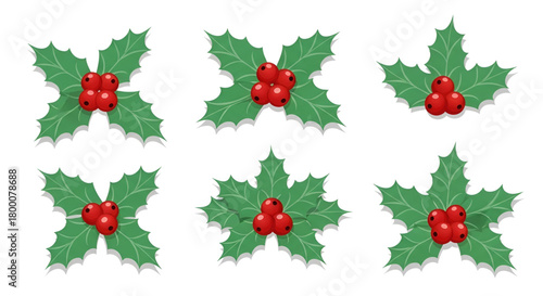 Christmas holly berry vector illustration holiday season clip art set
