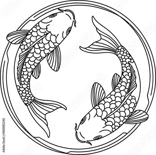 Traditional asian koi fish swimming circle outline illustration vector drawing pair carp detailed scales balance harmony cultural symbol design