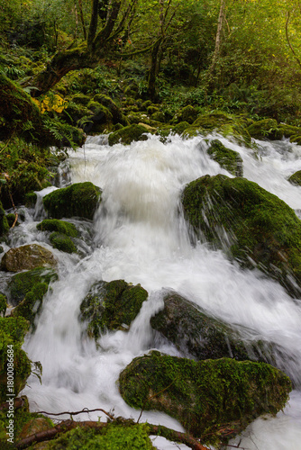 Forest waterfall, rapid river flow.