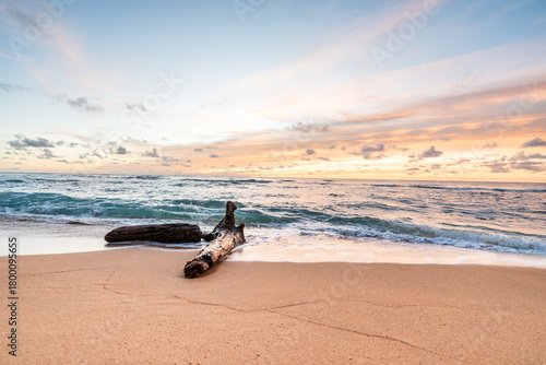 Beautiful orange sunset colors in the sky on the  tropical sandy beach with drift wood log in the foreground