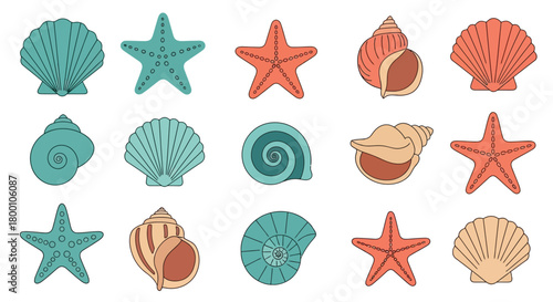 Collection of colorful seashells and starfish a vibrant ocean themed illustration