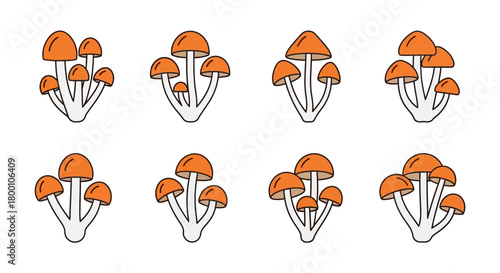 A collection of orange mushrooms with white stems arranged in a grid pattern