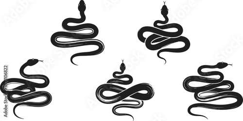 Collection of elegant curled snake silhouette illustrations featuring detailed black vector designs ideal for wildlife themes, reptile graphics, nature artworks, and creative projects