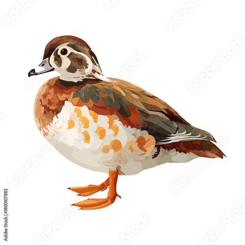 Minimalist 2D vector icon representation of a Duck Confit, displayed on a pure white background