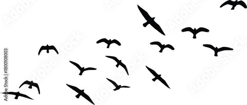 A flock of birds in silhouette flying in formation against a bright white sky, conveying a sense of freedom, migration, and natural movement in a minimalist composition