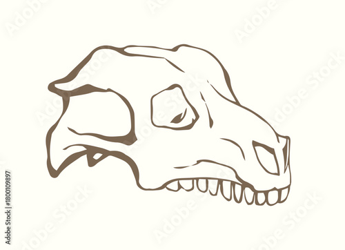 Bones and skull of a horse. Vector drawing
