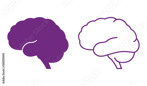 Purple brain silhouette and outline brain on white background vector