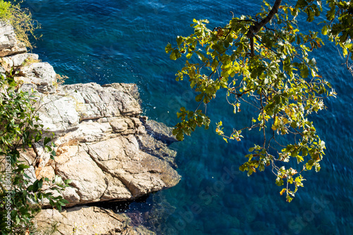 Fototapeta Naklejka Na Ścianę i Meble -  Autumn yellow trees and the blue Adriatic Sea with white coastal stone