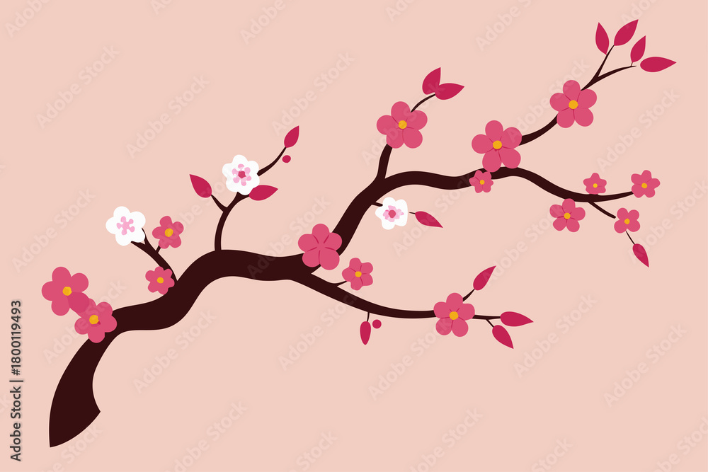 Fototapeta premium Blooming cherry branch