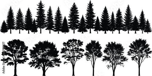 Forest tree silhouette collection, pine and deciduous trees vector illustration, nature landscape elements, black and white woodland design for environment and outdoor scenes