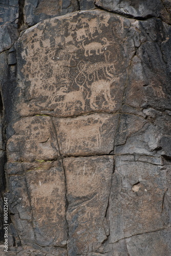 Sonoran Desert Petroglyph