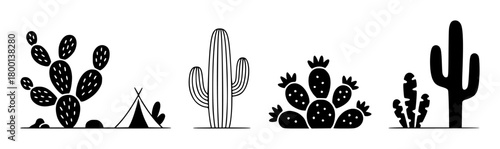 Desert Cactus Collection with Teepee and Desert Plants