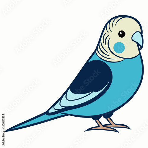 Cute blue budgie bird illustration on white background