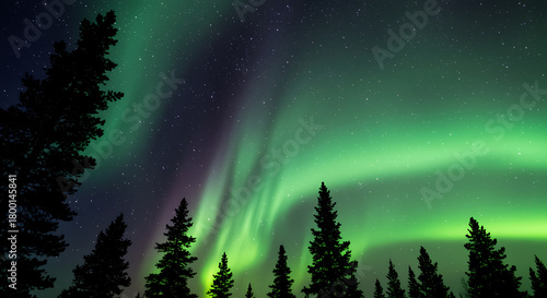 Fototapeta Naklejka Na Ścianę i Meble -  Aurora Borealis dancing over a forest landscape in the night sky